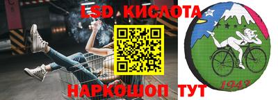 эйфоретик Новокубанск