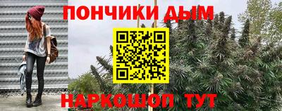 PSILOCYBIN Новодвинск