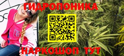 марихуана Новозыбков