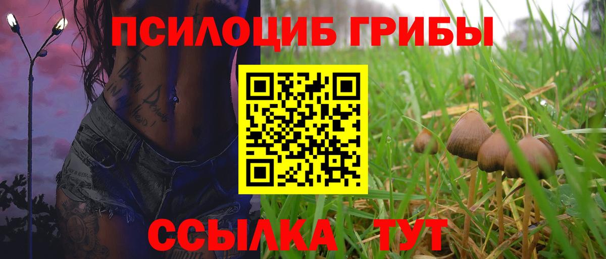 Псилоцибиновые грибы прущие грибы Сибай